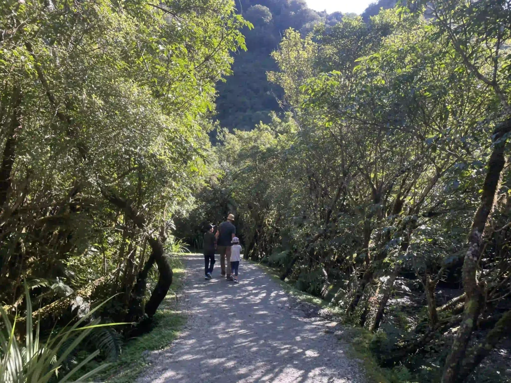 Franz Josef Glacier walk trail family New Zealand