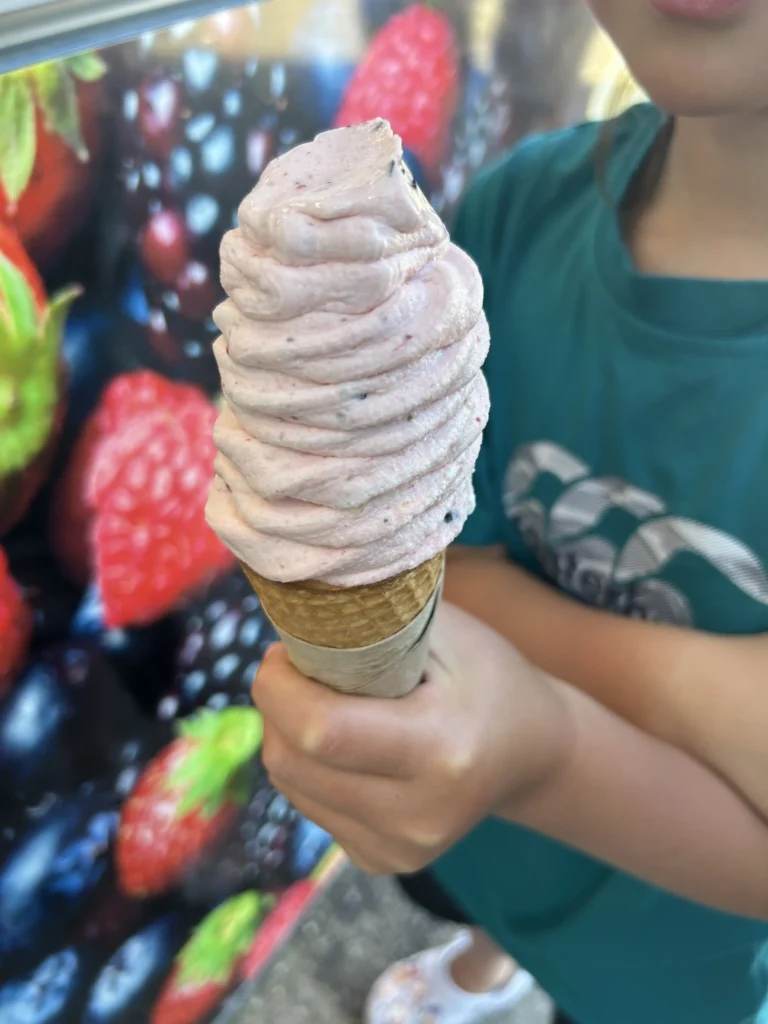 Jackson Orchards Cromwell fruit soft serve ice cream — berry flavour cone with local Central Otago stone fruit and yogurt.