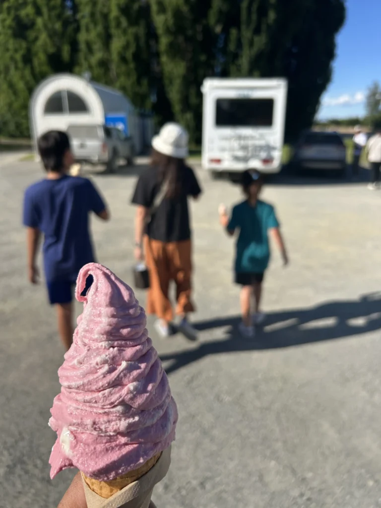 Family eating Jackson Orchards fruit ice cream cones outside Cromwell South Island — pink berry soft serve in foreground, kids walking toward food trucks