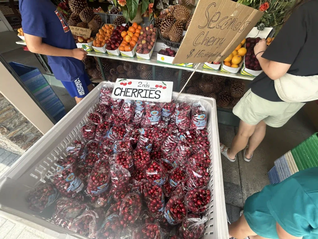 Seconds cherries at NZ$15 per kg at Cromwell South Island fruit stall — bags of Central Otago cherries piled in roadside display bins