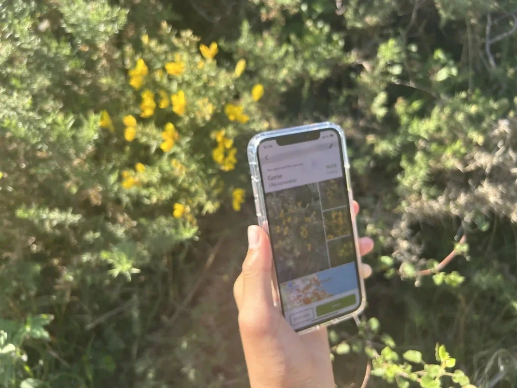 the iNaturalist Seek app. We let the kids use it to identify plants and animals along the trail.