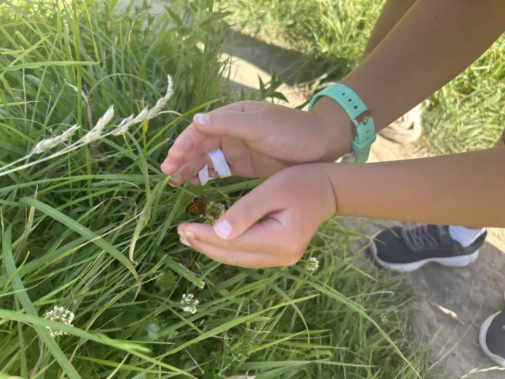 the iNaturalist Seek app. We let the kids use it to identify plants and animals along the trail.