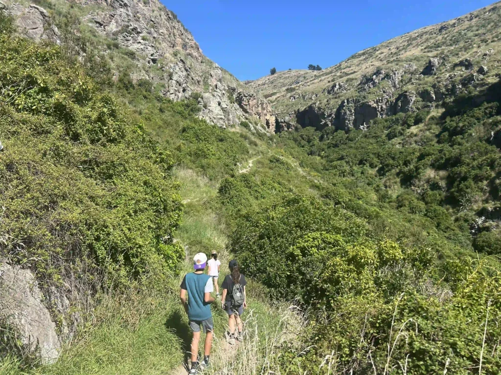 Barnett Park Cave Loop Track: The Uphill: What to Expect