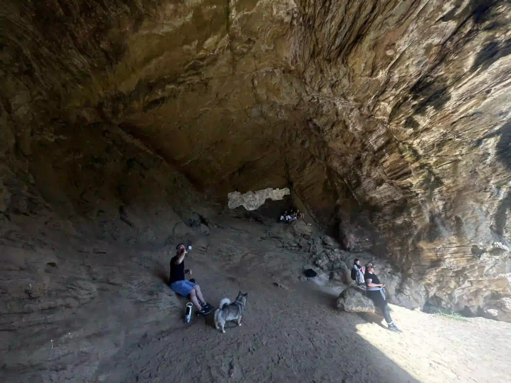 Barnett Park Cave Loop Track The Cave: Worth the Climb