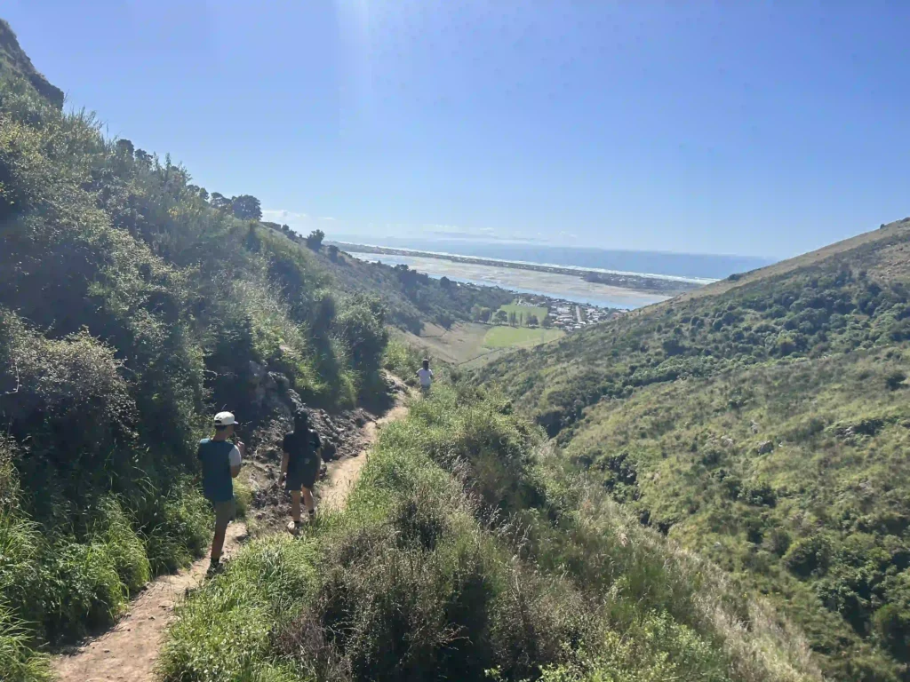 Barnett Park Cave Loop Track Ocean Views All the Way Down
