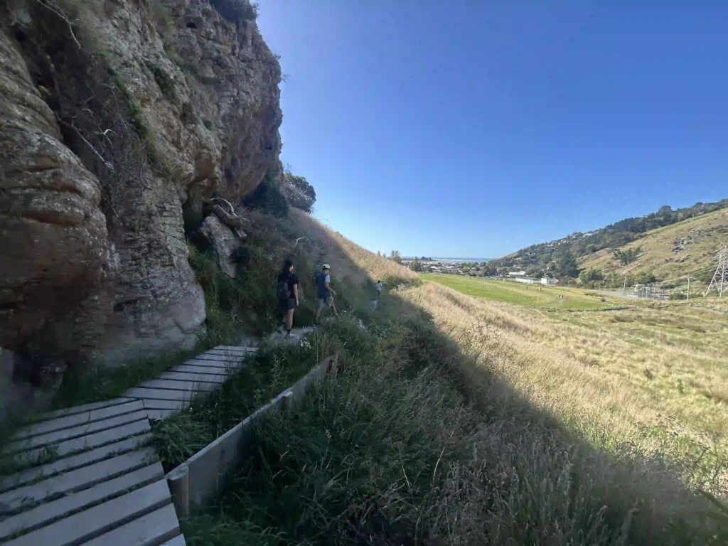 Barnett Park Cave Loop Track Ocean Views All the Way Down
