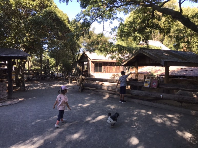 Willowbank Wildlife Reserve Christchurch. Buy animal feed at the entrance (you'll need it — this is non-negotiable) and the park becomes interactive in a way that most zoos aren't.