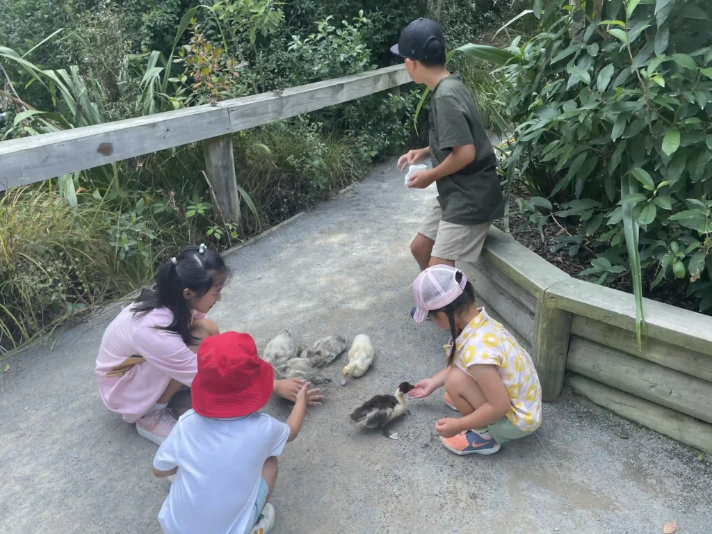 Willowbank Wildlife Reserve Christchurch — child feeding ducks and pukeko along the garden path