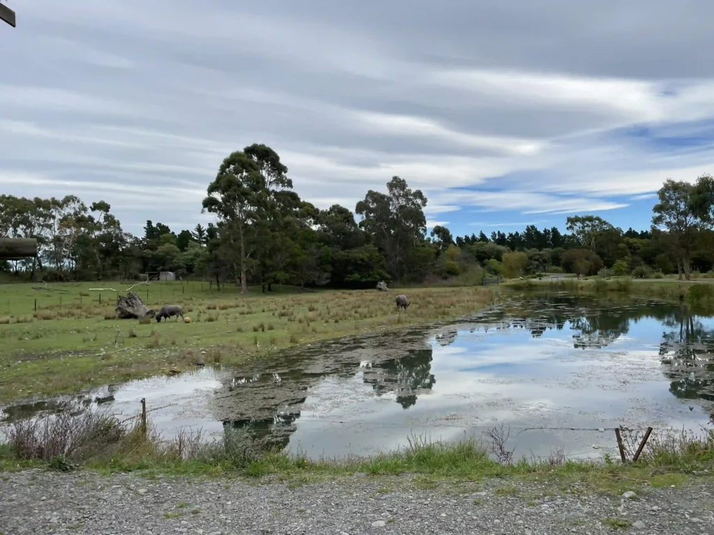 Willowbank Wildlife Reserve Christchurch. Orana Wildlife Park is New Zealand's only open-range zoo. 