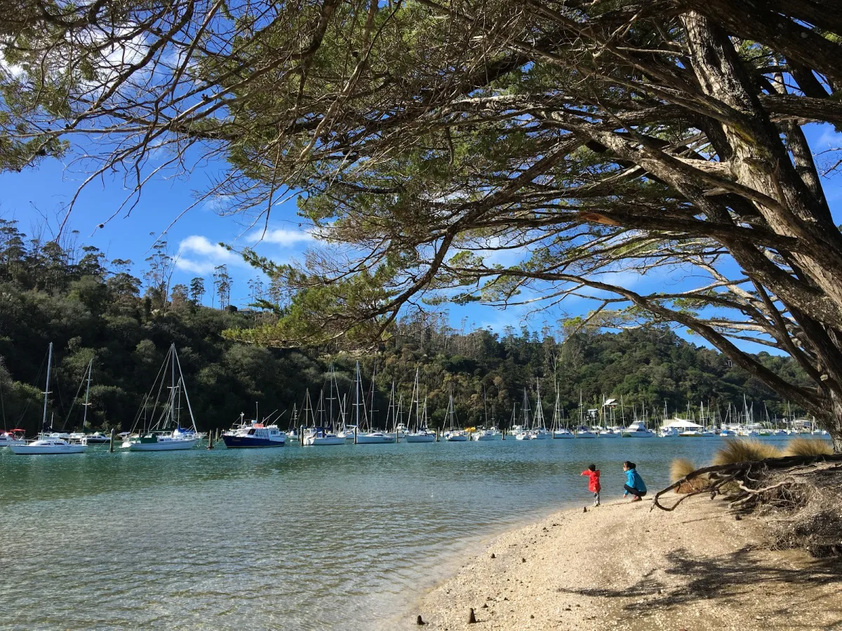 Auckland hike Stillwater - Okura Bush Walkway