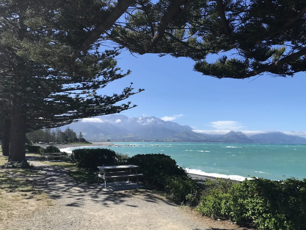 Kaikoura beach