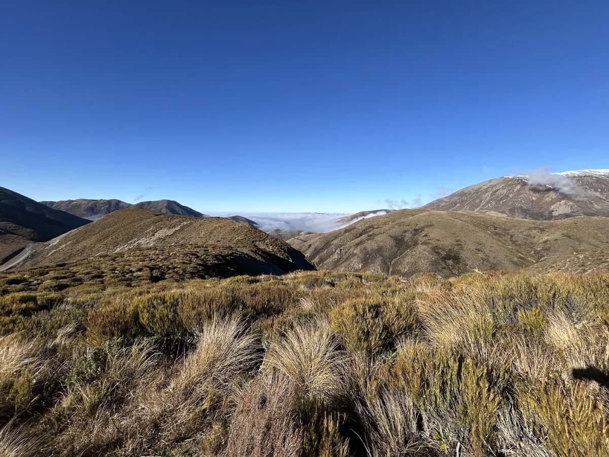 discover the Trig M hike at Porters Pass