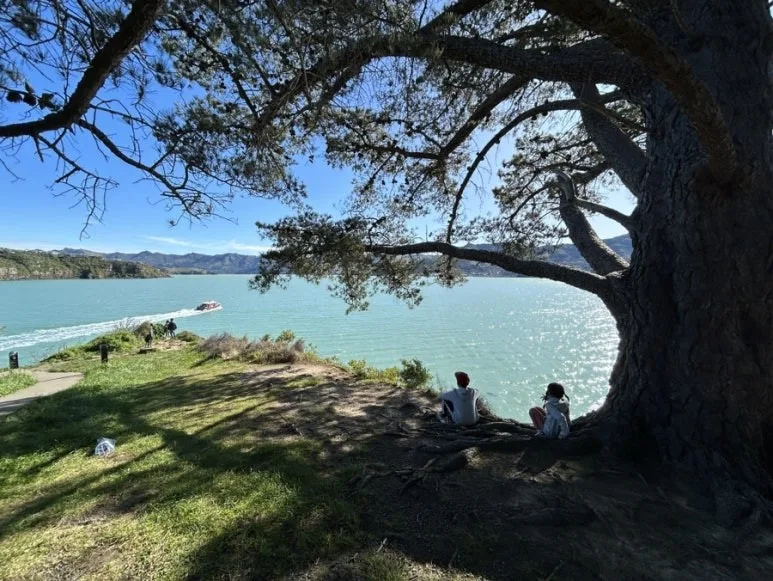 a Scenic Ferry to Diamond Harbour