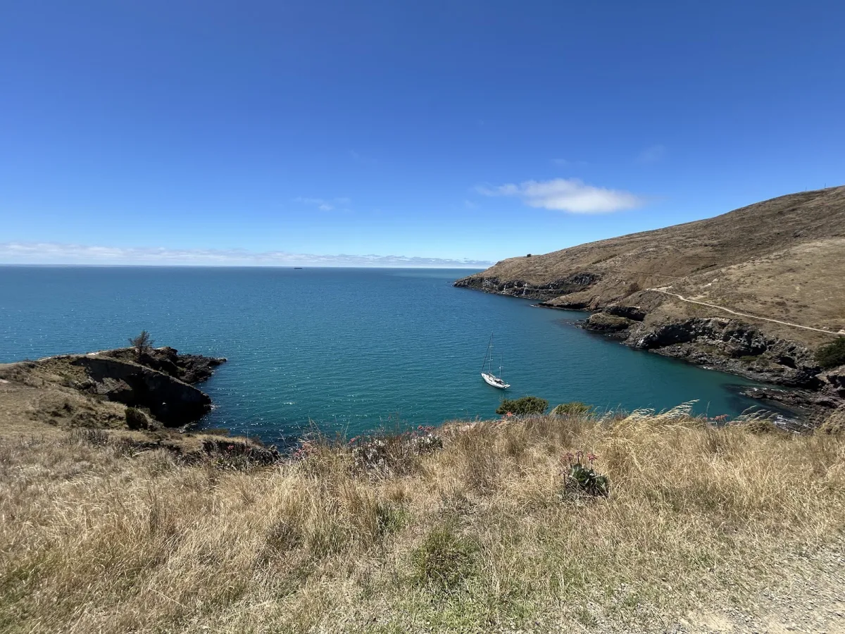 Godley Head Loop Track