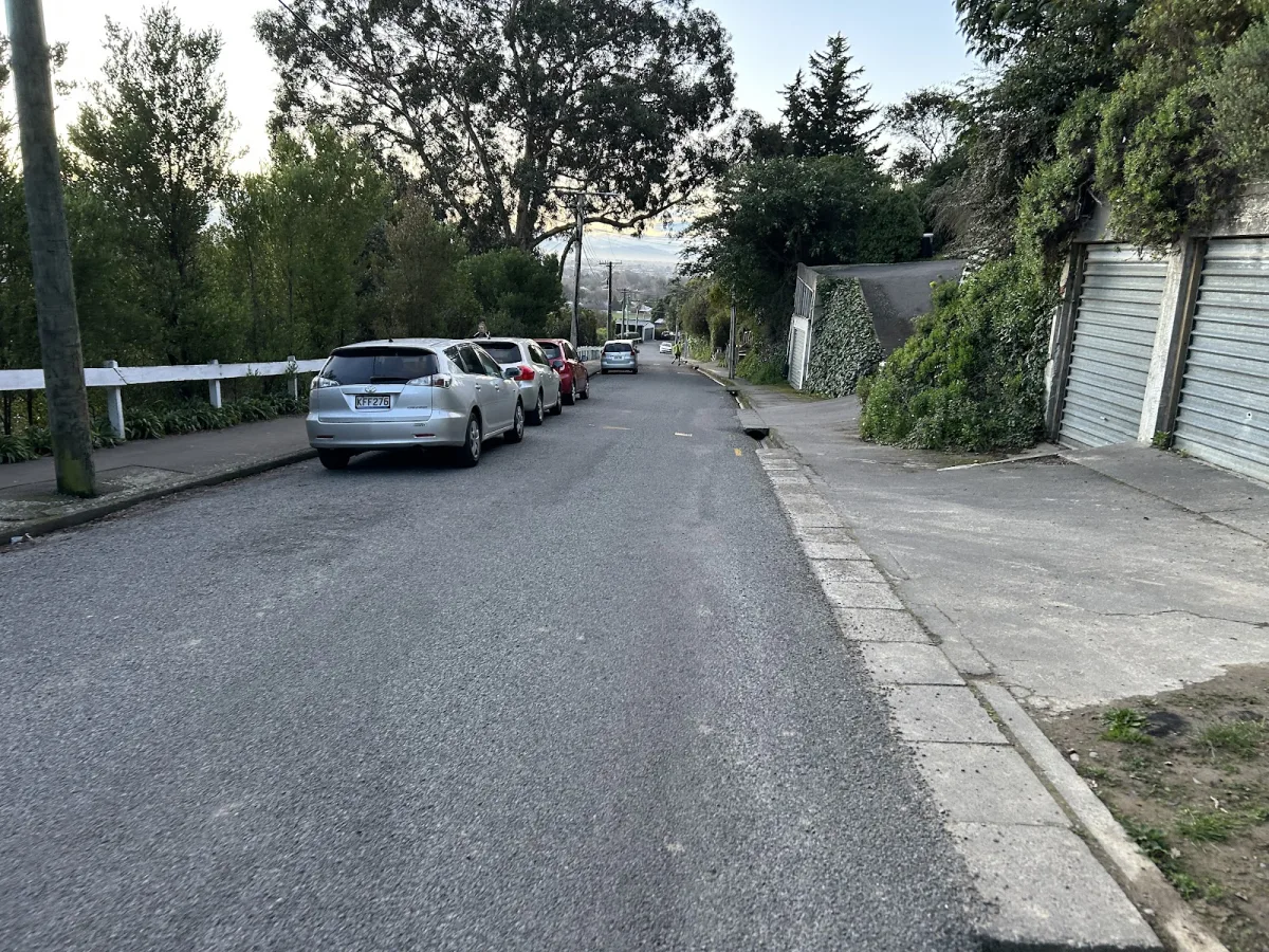 Rapaki and Kōwhai tracks Street parking