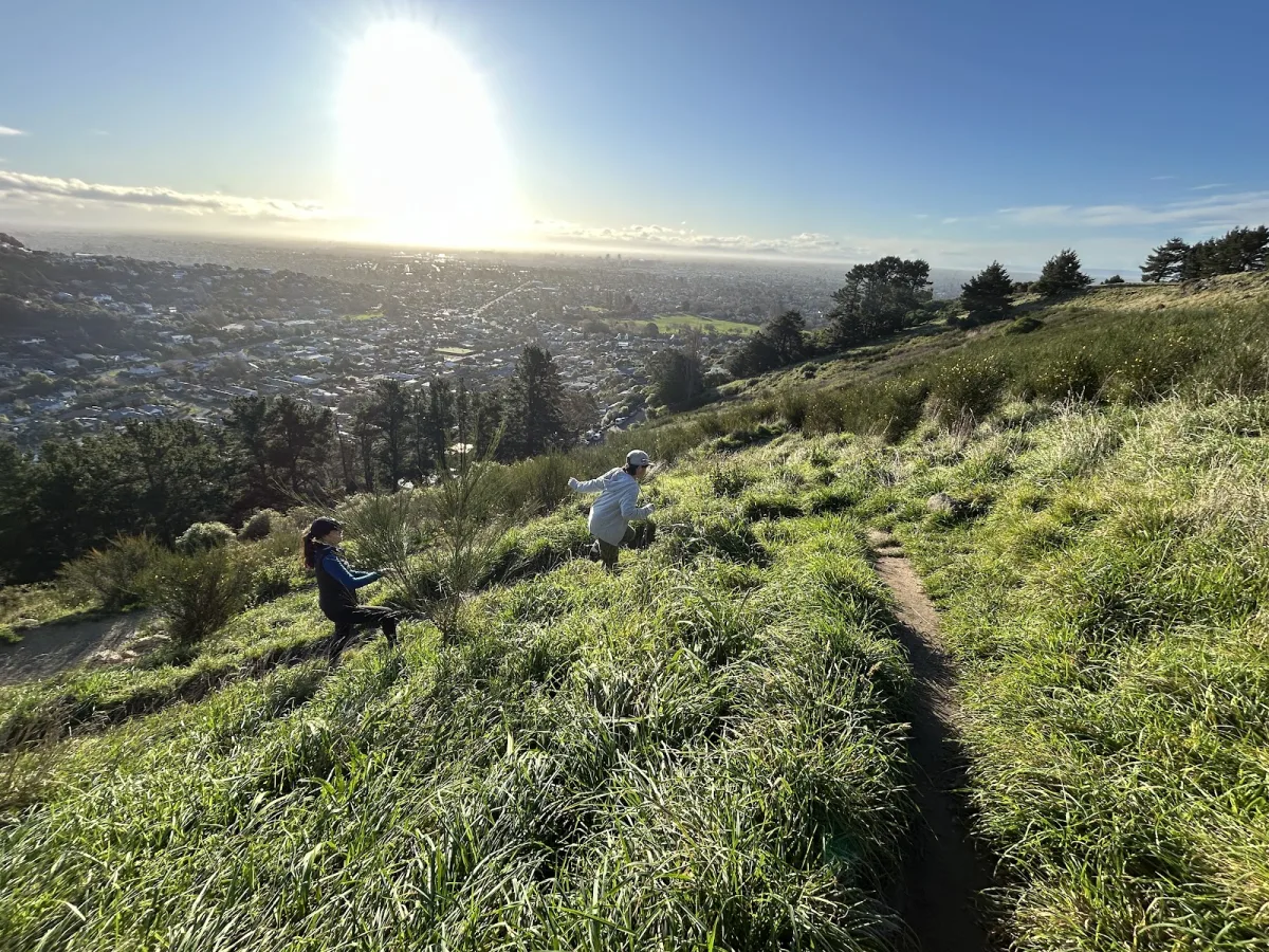 The Kōwhai Track: A Rewarding Zigzag Climb