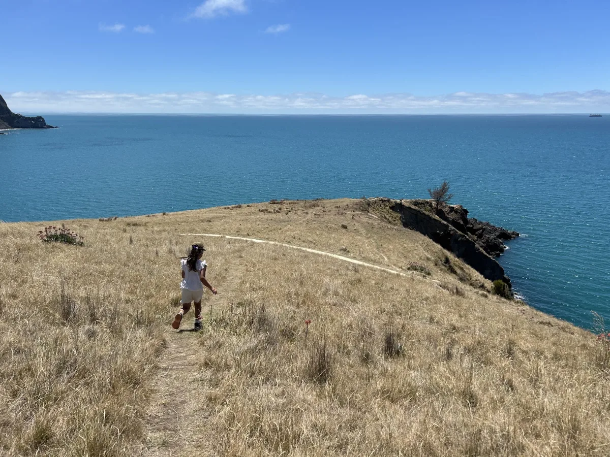 Godley Head Loop Track