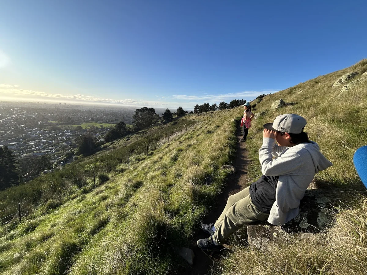 Panoramic views of the entire Christchurch city
