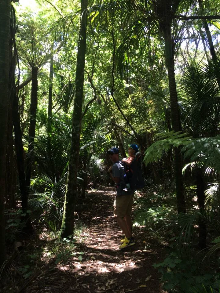 Kitekite Falls Track